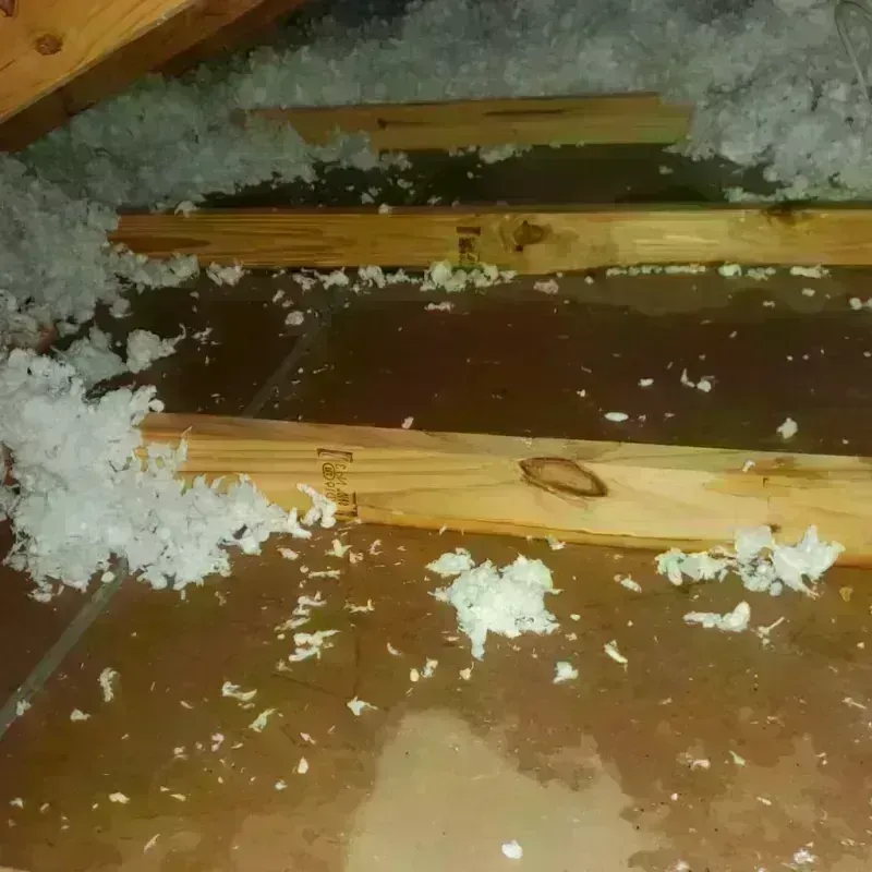 Attic Water Damage in Hendron, KY